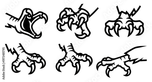 Set of stylized raptor talon and claw illustrations.