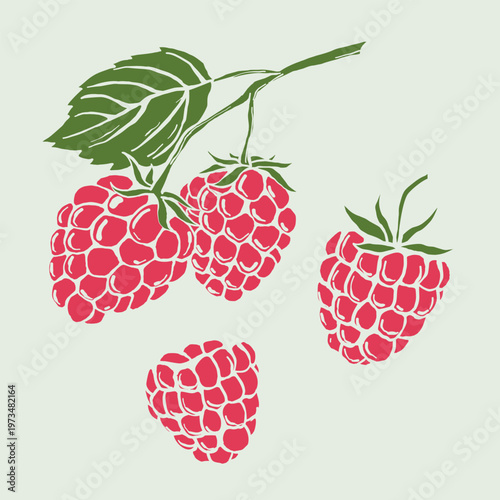 Postage Stamp With Raspberries Vector Illustration