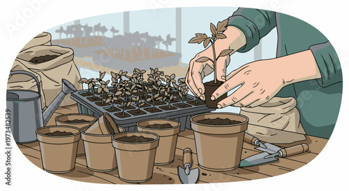 Hands carefully transplanting a young seedling from a tray into a pot