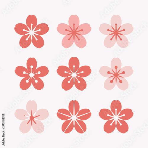 Collection of Cherry Blossom Flower Icons on White Background