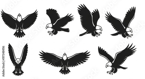 Stylized Eagle Silhouette Set Showing Dynamic Wings.