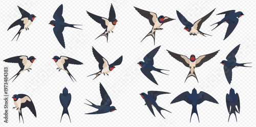 Set of flying swallows in various poses isolated on transparent background.