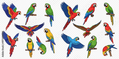 Collection of colorful cartoon macaws and parrots in various poses, flying and perching on branches, isolated on a transparent background.