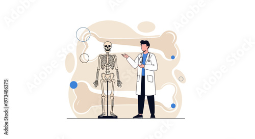 Doctor explaining human skeleton anatomy, medical education, science and healthcare concept