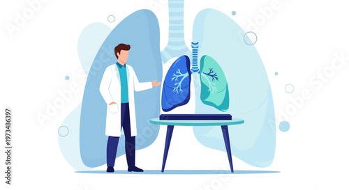 Doctor Explains Lungs Anatomy, Medical Illustration of Respiratory System Health