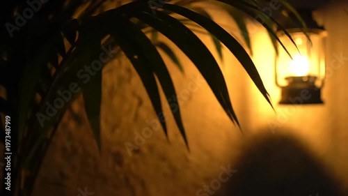 Dimly Lit Outdoor Sconce with Palm Fronds.