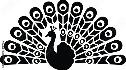 Black silhouette of a peacock spreading its colorful tail feathers.