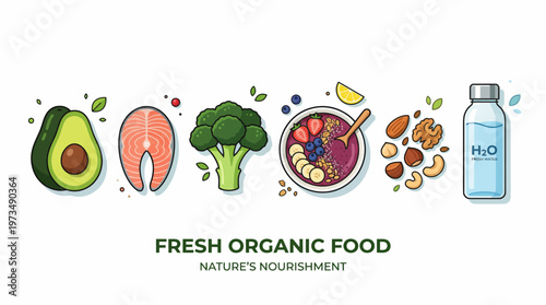 Healthy Food Organic Diet Set Avocado Salmon Broccoli Smoothie Nuts Water Vector Illustration Isolated White