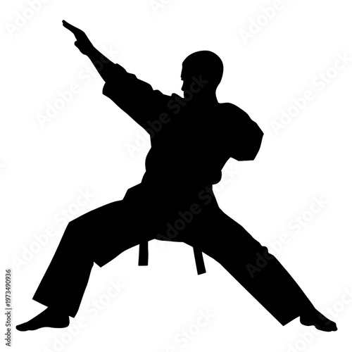 A Karate master performing a powerful strike in a silhouette form. This image shows the elegance and focus of martial arts