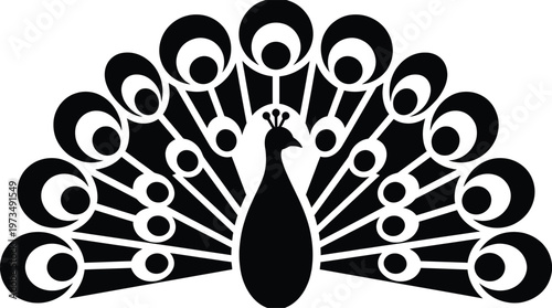 A black silhouette of a peacock spreading its colorful tail feathers.