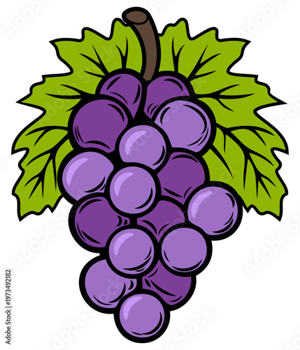 Grape branch with leaves