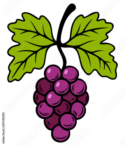Dark grapes with wide leaf decorative vector illustration