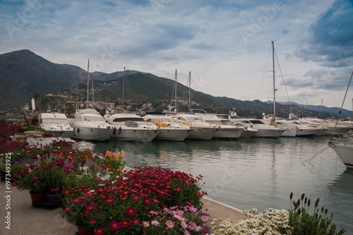 flowers at promenade in port in Arenzano, Italy