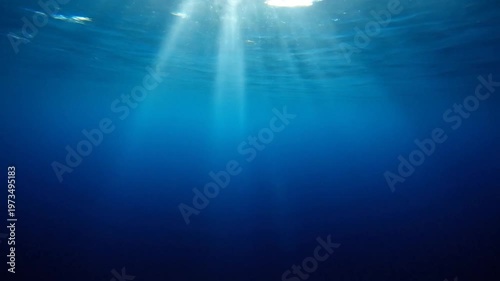 Wallpaper Mural Underwater Sunlight Rays Illuminating Deep Blue Ocean Water with Bubbles image photo Torontodigital.ca