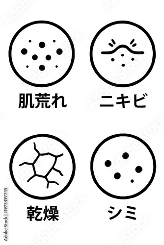 Skin problems icon set acne dry skin spots

肌トラブル（ニキビ・乾燥・シミ）アイコンセット