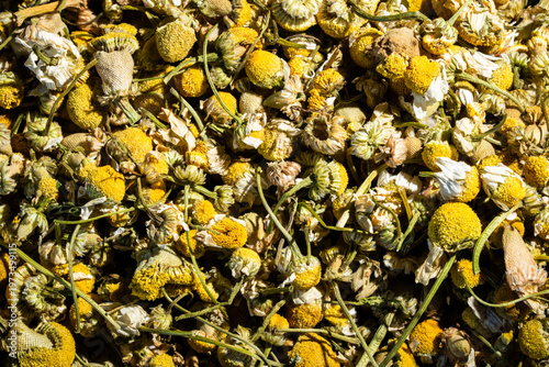 close-up of dried camomile tea 