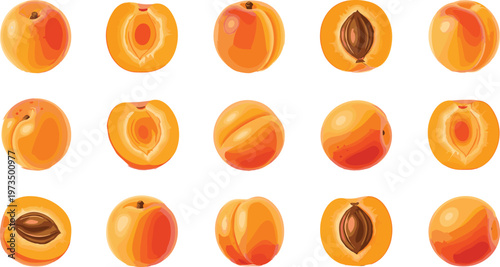 Peach Vector Set Showing Whole, Sliced, and Pitted Peaches for Fresh Produce, Healthy Food, and Fruit Illustrations