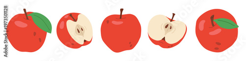  set of red Flat vector apples in line with sliced,half pieces. Cute fruit collection isolated on light background.