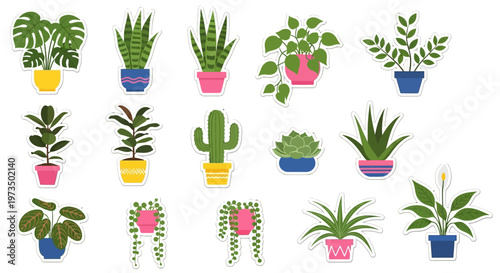 Variety of Potted Houseplants and Succulents 1. Vector Illustrations. EPS Editable