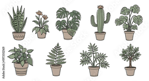 Variety of potted houseplants on display. Vector Illustrations. EPS Editable