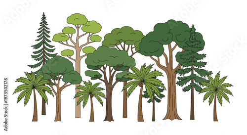 Variety of trees with different shapes. Vector Illustrations. EPS Editable