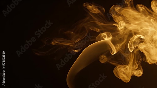 Wallpaper Mural Abstract Golden Smoke Swirls Against Dark Background. Torontodigital.ca
