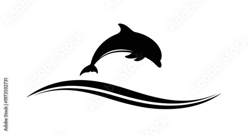 Black dolphin jumping out water 2.