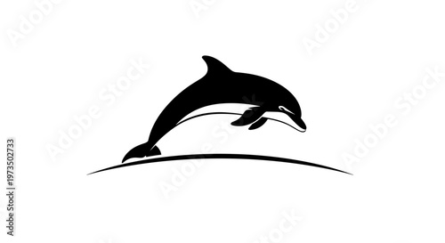 Black dolphin jumping out water 1.