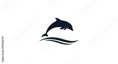 Black dolphin jumping out water.