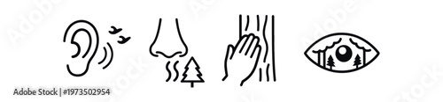 Nature senses icon set. hearing, smell, touch, sight, aroma, forest, tactile, observation. line and flat vector illustration.