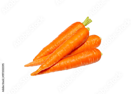 Carrot isolated on white background. Group of fresh whole carrots.