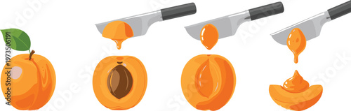 Step-by-Step Peach Cutting Process Illustration Showing Fresh Fruit, Knife, Pit Removal, and Peach Slice for Food Preparation and Culinary Designs
