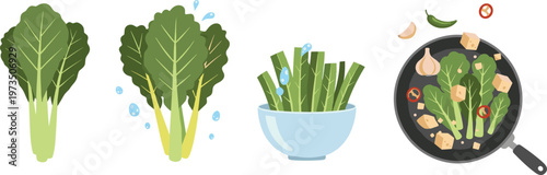 Step-by-Step Process of Preparing Fresh Romaine Lettuce for Cooking, Including Washing, Chopping, and Stir-Frying in a Pan, with Healthy Ingredients