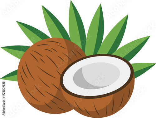 Two coconuts with green leaves one whole one half showing white flesh illustration