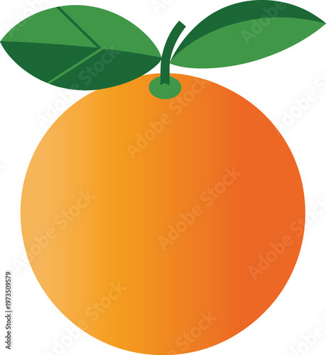 Orange fruit with two green leaves attached to stem fresh healthy food illustration