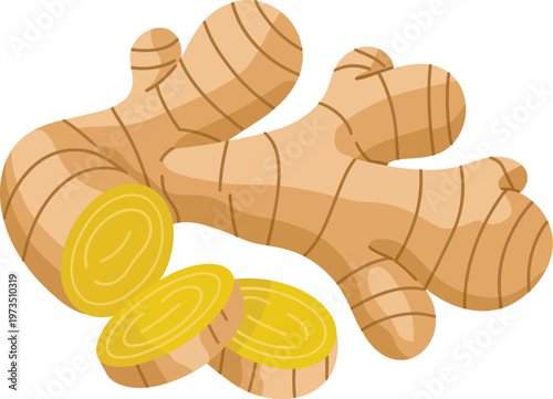 Stylized ginger root with sliced pieces showing bright yellow interior illustration design