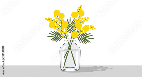 Bright yellow mimosa flowers with delicate green feathery leaves are elegantly arranged in a simple clear glass jar filled with pristine fresh water.