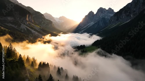 Sunrise over misty mountain valley with pine trees and golden light