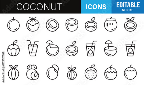 Minimal tropical fruit icons pack for summer, healthy lifestyle and beverage concepts