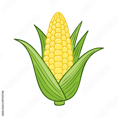 Cartoon illustration of a fresh ripe ear of corn with green husks and yellow kernels