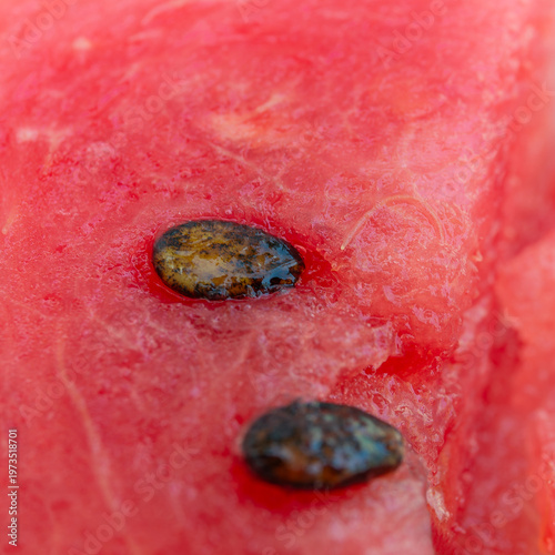 Watermelon flesh with seeds macro close up