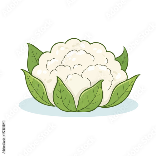 Hand drawn cartoon cauliflower with green leaves isolated on white background