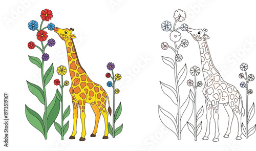 Cute Cartoon Giraffe Smelling Flowers: Colored Illustration and Black and White Line Art Coloring Page for Kids