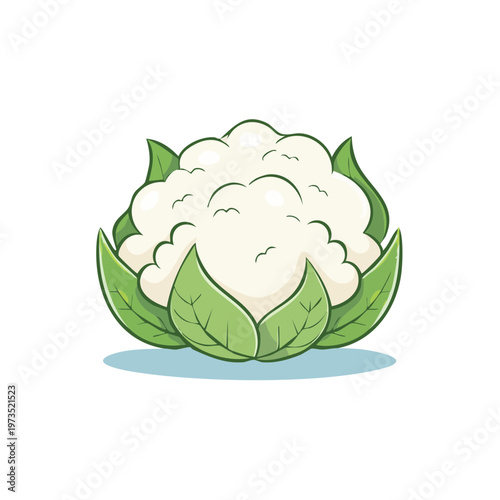 Cartoon cauliflower with green leaves in a simple illustration style