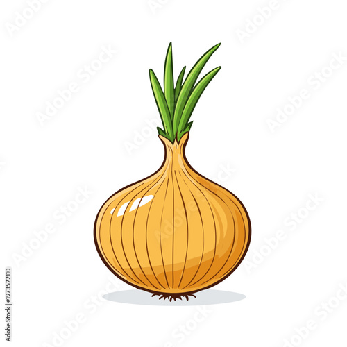 Whole yellow onion with green sprouts and roots isolated on white background