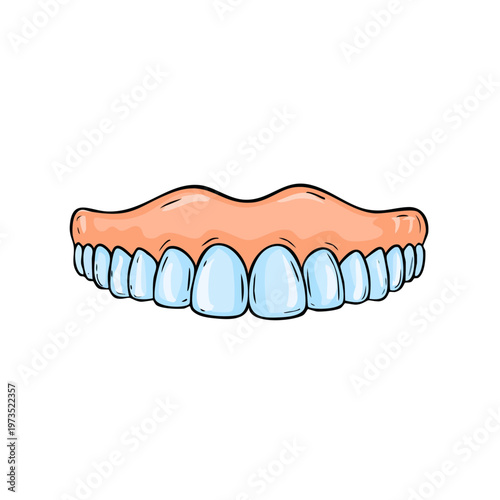 Illustration of full set of upper teeth dentures healthy with gums and lips