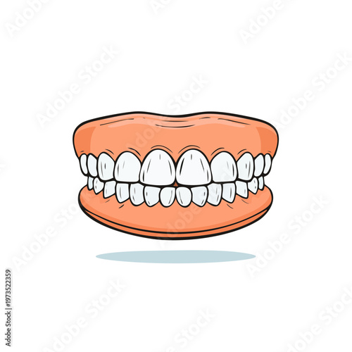 Cartoon dentures showing upper and lower artificial teeth and gums