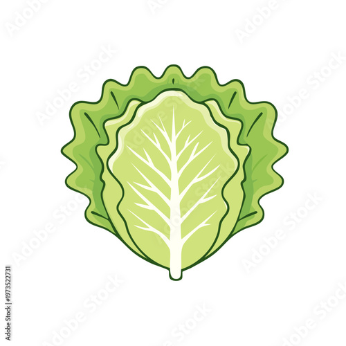 Fresh green lettuce leaf head with detailed veins and wavy edges, stylized illustration