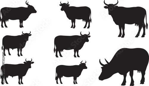 Black silhouettes of cows and bulls standing
