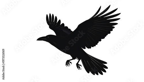 A solid black avian silhouetted mid-flight, wings spread wide against a stark white backdrop. The detailed feathers are clearly defined